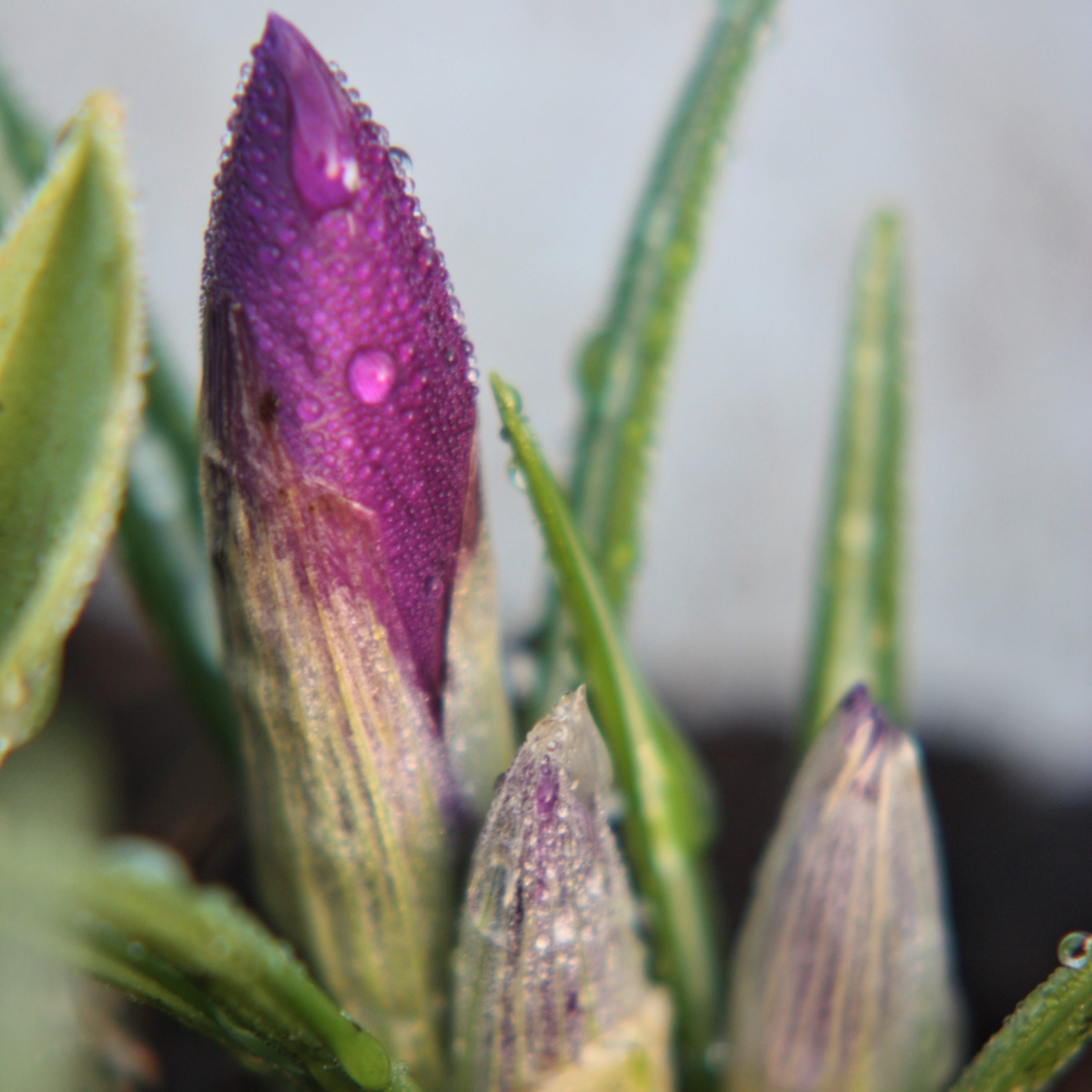 plaatje van Opleidingen voor docenten en leidinggevenden